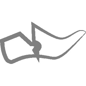 Origin Icon